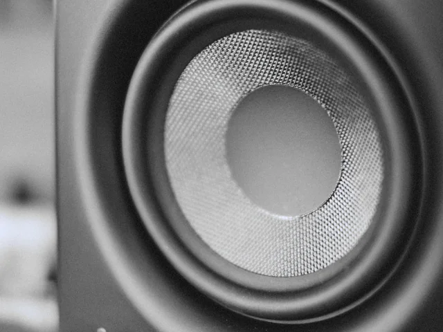 The edge of a bass cone and its surround, raking light across the weave.